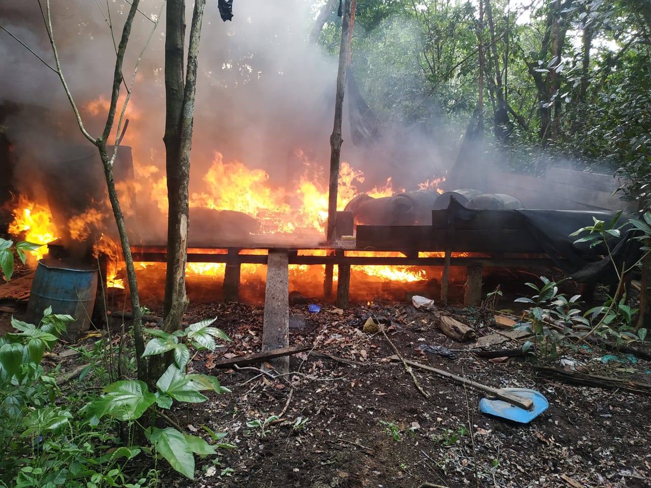 Destruyen gigantesco laboratorio de droga en zona selvática 7