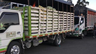 Más de 4,6 millones de toneladas de alimentos y artículos para la salud han sido transportados en cuarentena 4