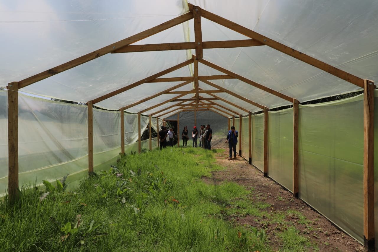 En tres años se esperan sembrar 120 mil plantas en Chipaque, Cundinamarca