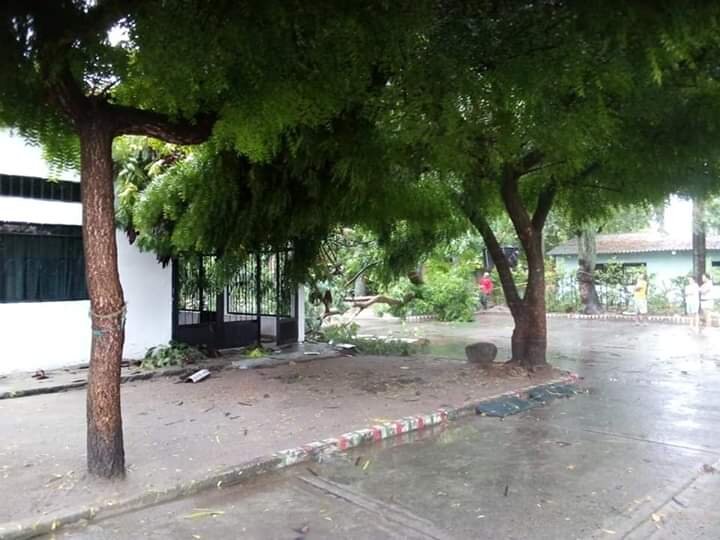 Fuerte vendaval afectó la tranquilidad de al menos mil personas en el Espinal 8