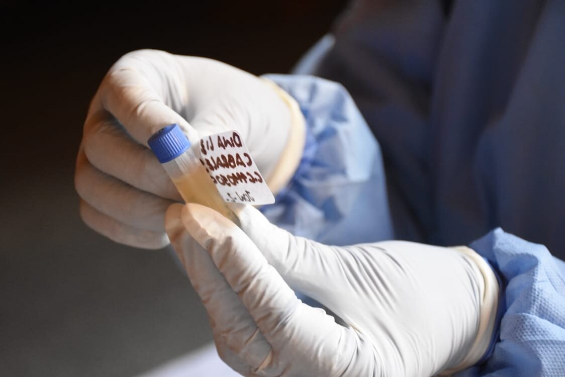 Laboratorio de Salud Pública inició lectura de pruebas de PCR de Covid-19 en el Tolima 1