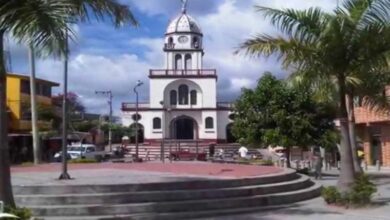 Homicidio con arma blanca en zona rural de Falan conmociona al norte del Tolima 6