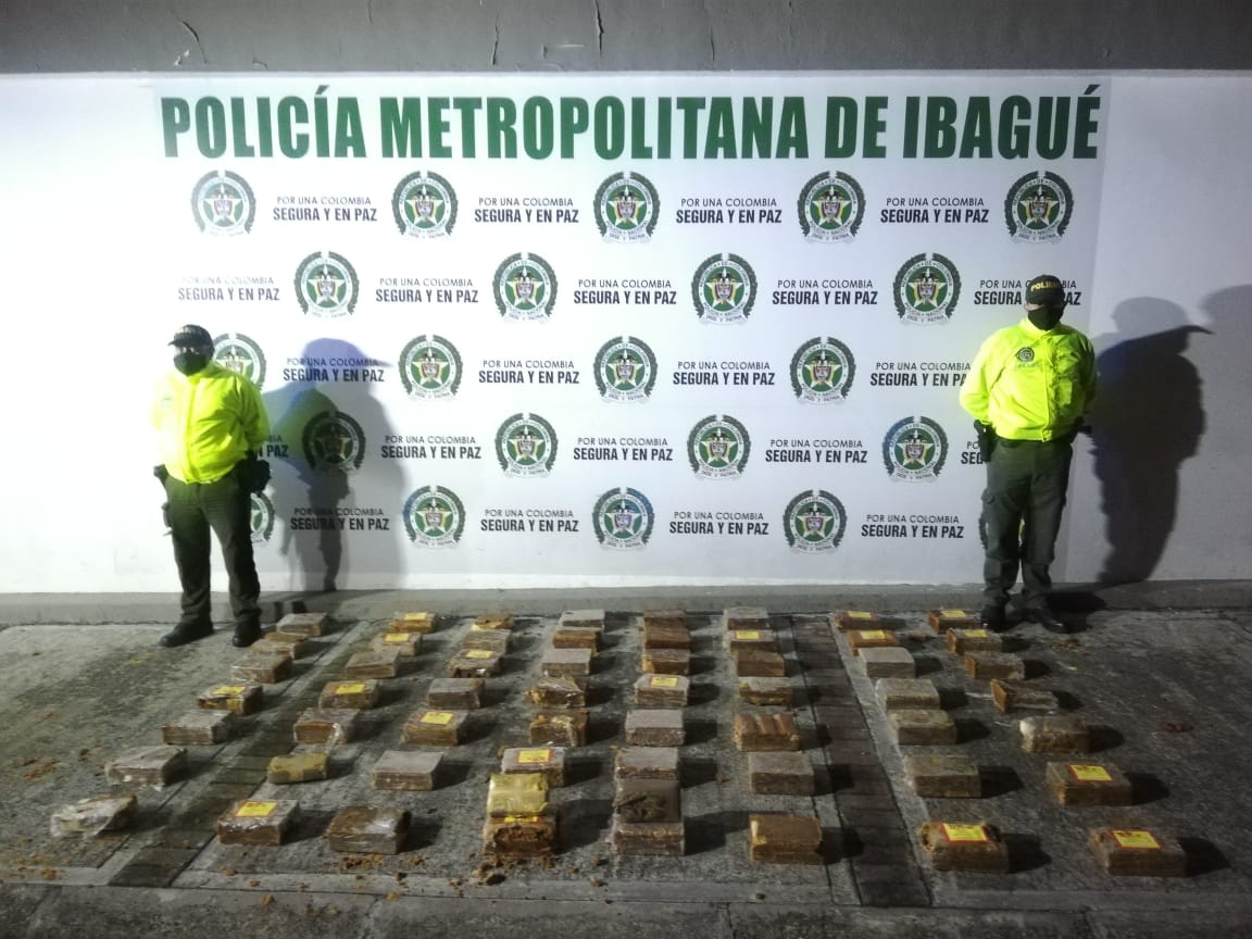 Incautaron más de 60.000 dosis de marihuana dentro de 58 panelas 2