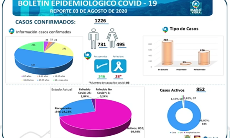 Conozca los datos estadísticos que deja hasta el momento la pandemia en Ibagué 1