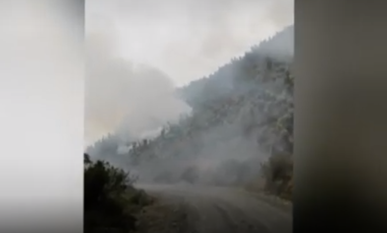 Reportan incendio en cercanías del Parque Nacional de los Nevados 1