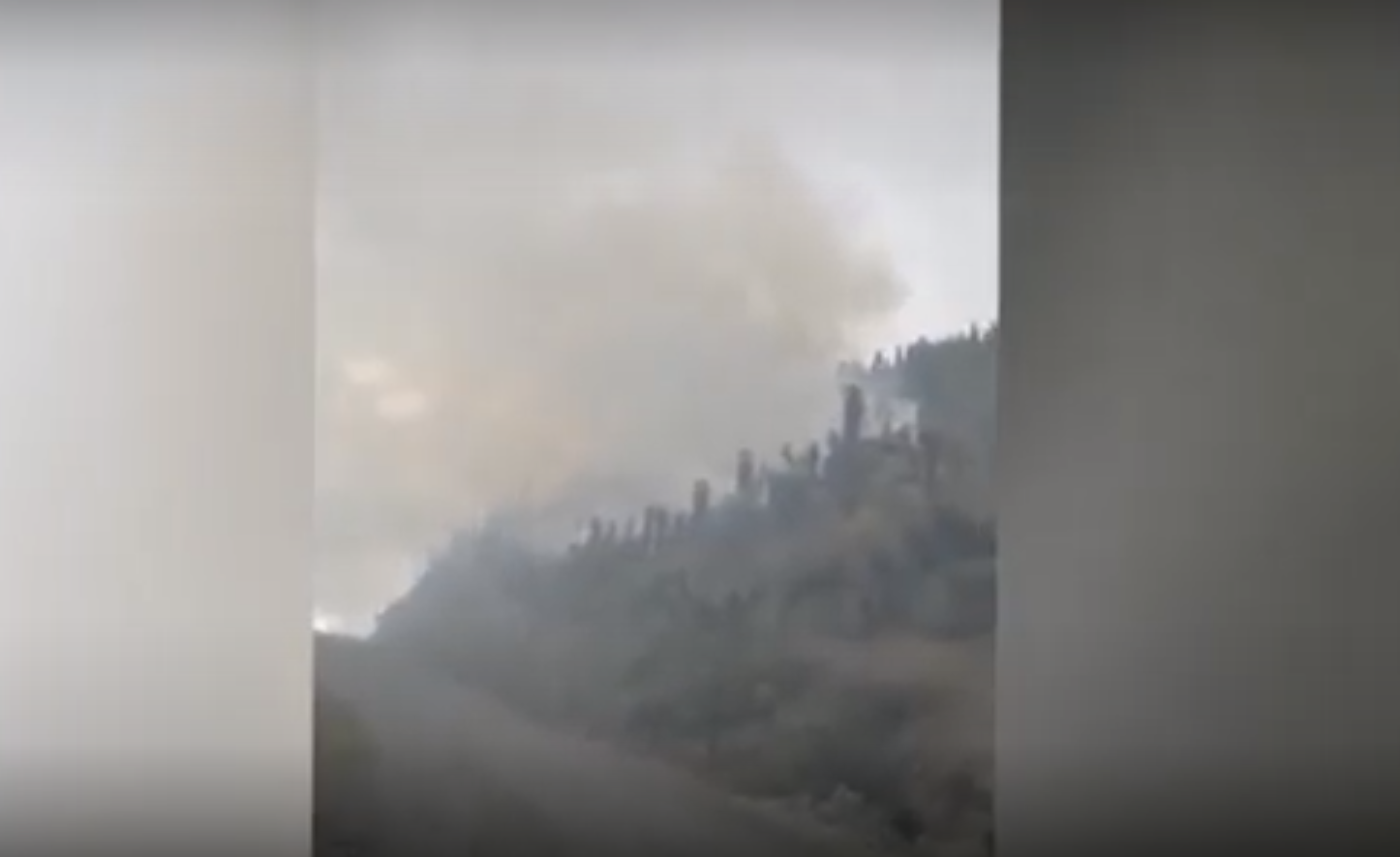 Reportan incendio en cercanías del Parque Nacional de los Nevados 2