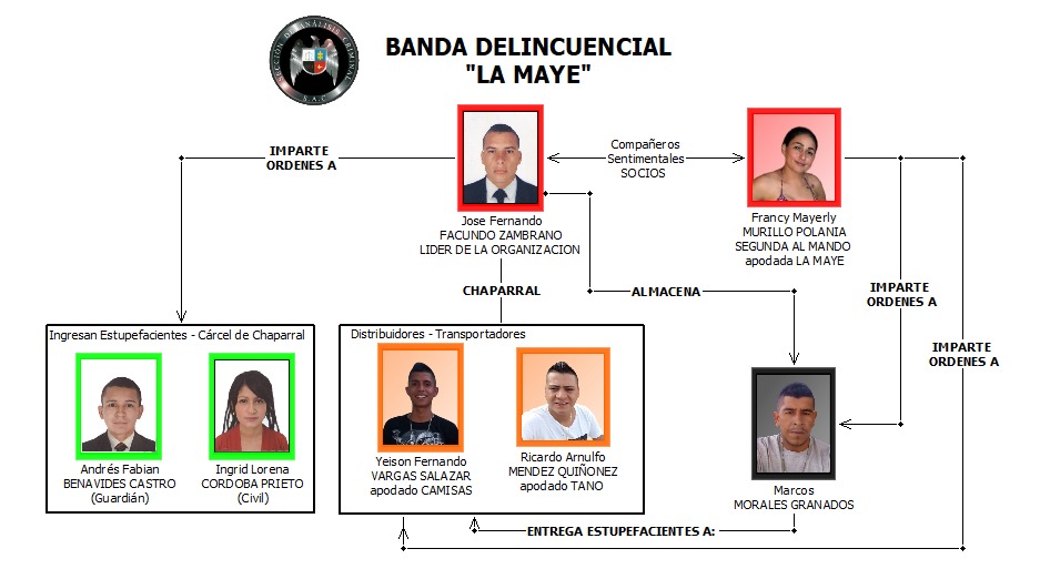 Cogieron a ‘los Mayes’, los domiciliarios del microtráfico en el Tolima 4