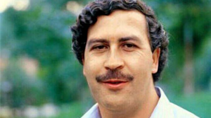 Verdadero o Falso. Encontraron 18 millones de dolares podridos en caleta de Pablo Escobar 4