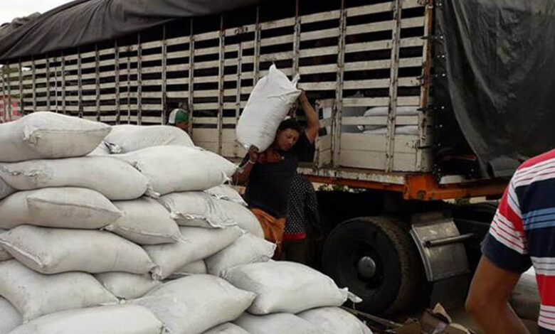 Mas de 12.000 toneladas de abono orgánico se entregarán en el Tolima 1