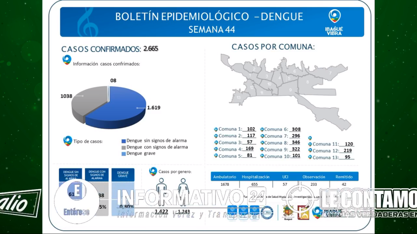 El Dengue tiene en Jaque mate a Ibagué 1