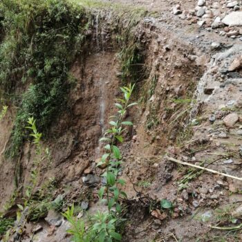 Deslizamientos de tierra tiene incomunicados a los habitantes de Bilbao, Planadas 3
