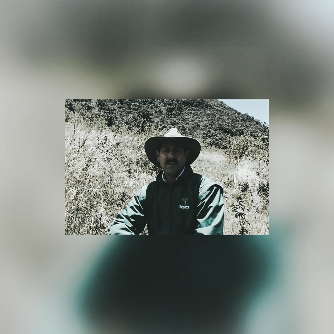 Luego de tres días de estar desaparecido encuentran sin vida al líder social de Roncesvalles, Tolima 1