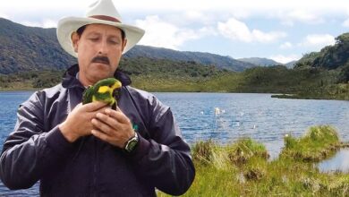 Nada que avanza investigación sobre el asesinato de Gonzalo Cardona 6