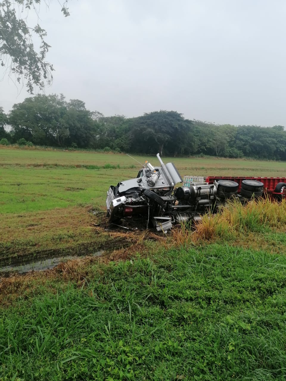 Aerován de Rápido Tolima chocó contra tractocamión en Lérida Tolima 5