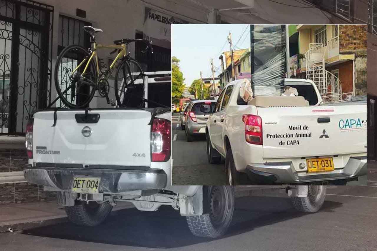 No solo ciclas, también trasteos 1