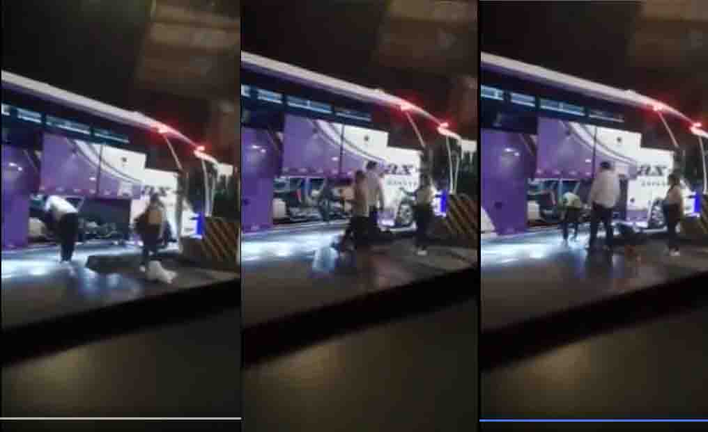 Por presunto maltrato animal, Súper Transporte sancionaría a Velotax 1
