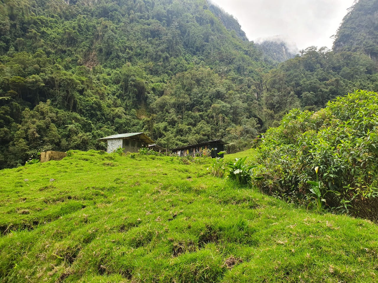 Rescatan a montañistas extraviados el Nevado del Tolima 4