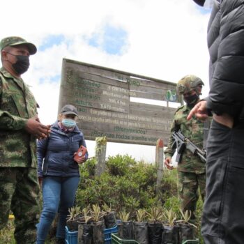 600 frailejones se sembraron en la reserva El Toro del municipio de Murillo 3