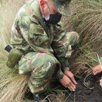 600 frailejones se sembraron en la reserva El Toro del municipio de Murillo 7