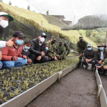 600 frailejones se sembraron en la reserva El Toro del municipio de Murillo 2
