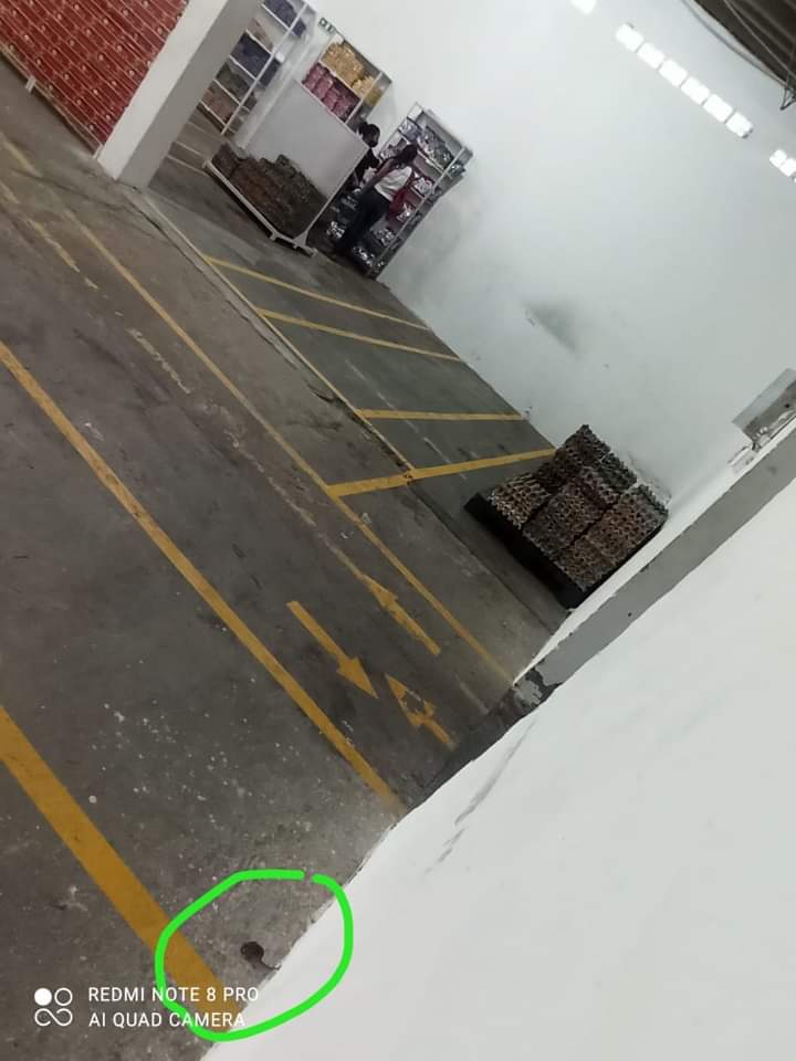 Mientras entregan alimentos del PAE, un ratón se paseaba y comía en la bodega 2