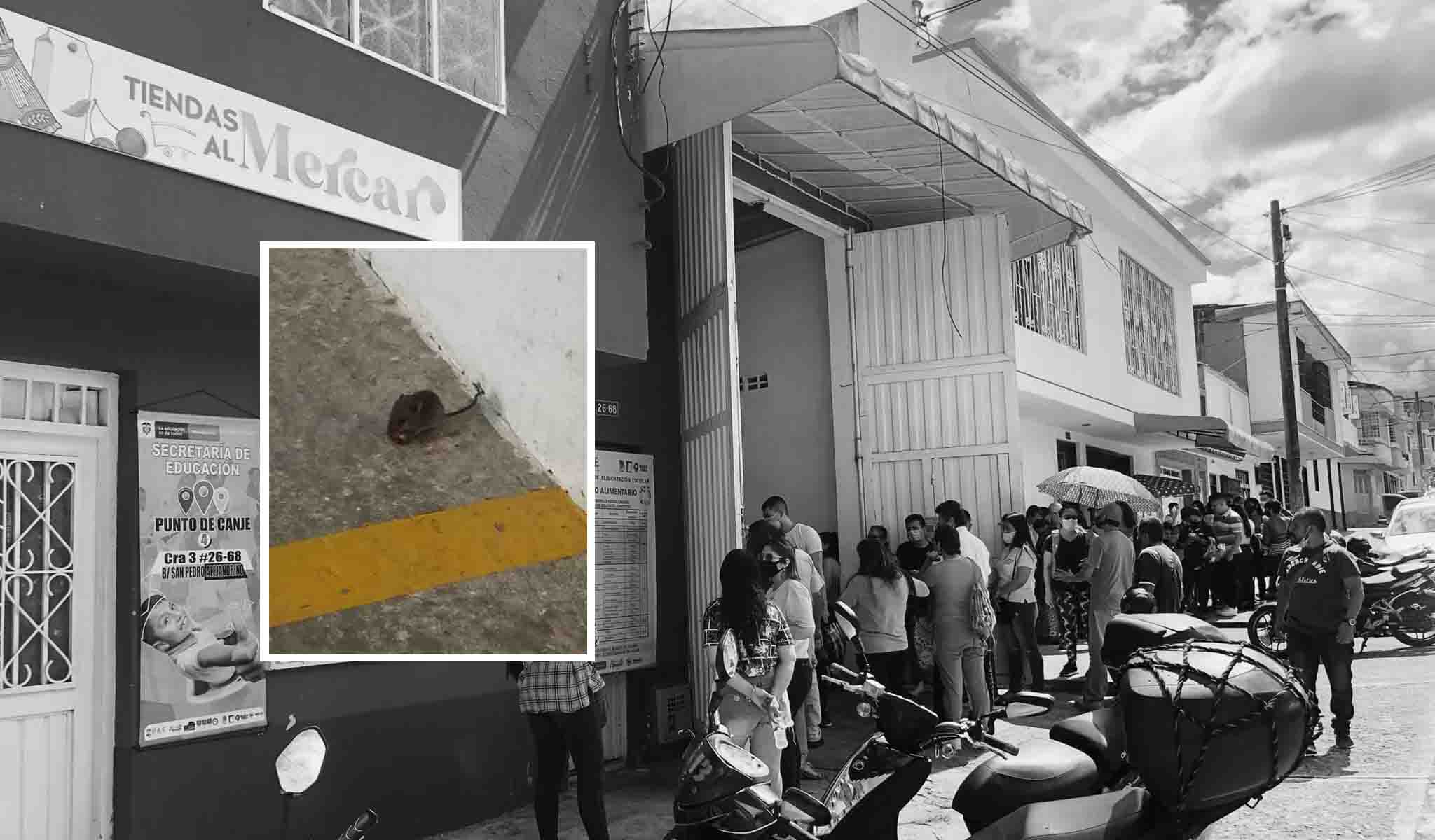 Mientras entregan alimentos del PAE, un ratón se paseaba y comía en la bodega 1