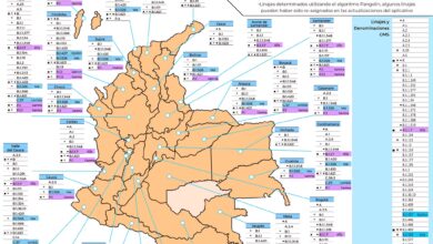 Variante Lambda del Covid-19 detectada en el Tolima 9