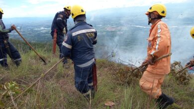  250 hectáreas de vegetación calcinadas por incendio forestal en el Tolima 11