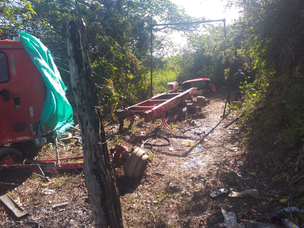 Encuentran deshuesadero de mulas en zona rural de Venadillo 1