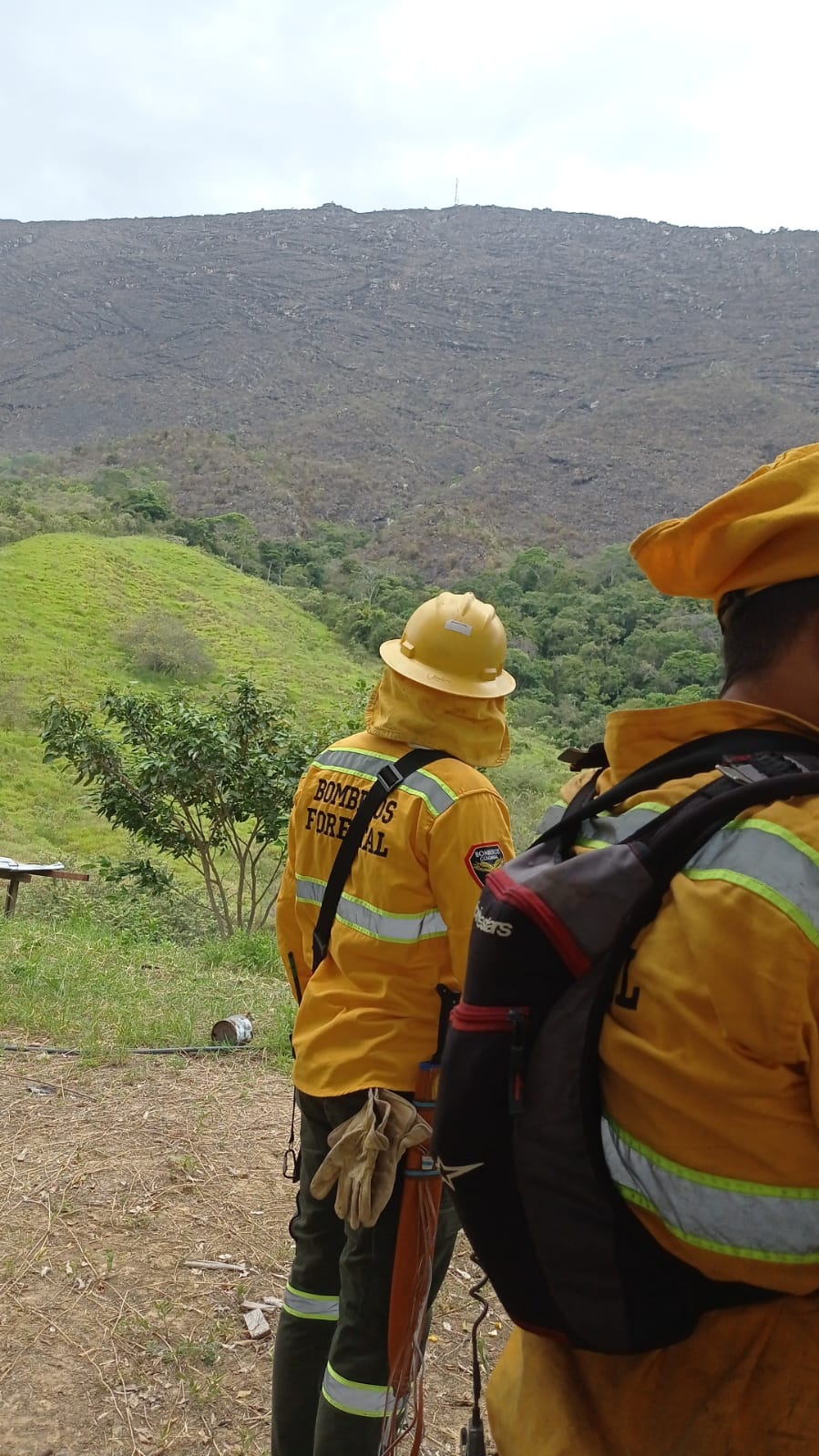 Se suman más municipios a la extinción del incendio en Melgar 7