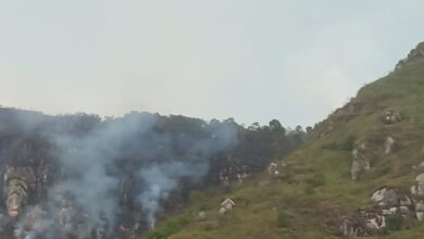 Se suman más municipios a la extinción del incendio en Melgar 1