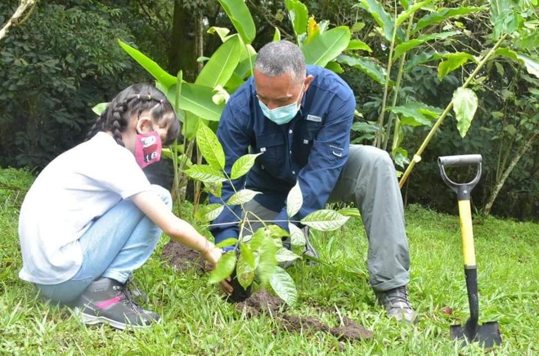 Cuatro barrios de Ibagué se beneficiarán con Jornada de Sembratón Nacional 1