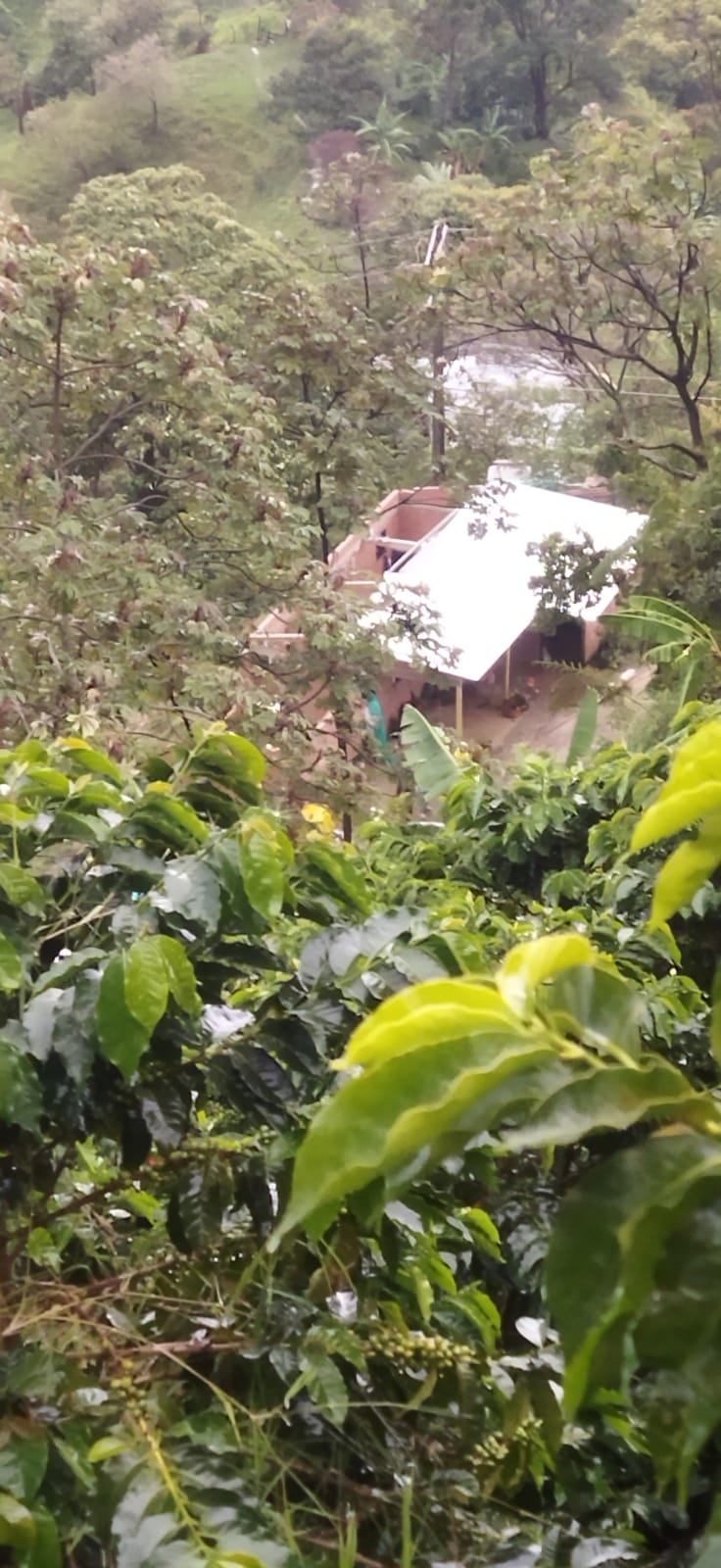 Sur del Tolima afectados por las Lluvias 9