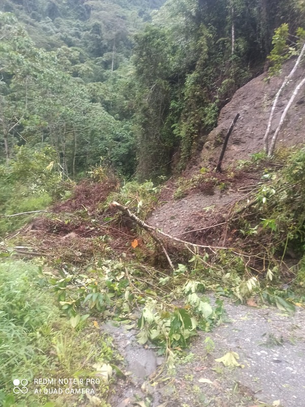 Dos militares lesionados por la caída de un árbol en el Cantón Militar de Ibagué 4