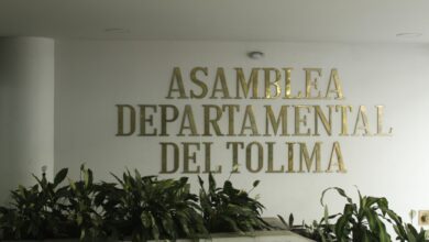 Asamblea del Tolima hace seguimiento a incendios forestales en Guamo y San Luis y expresa solidaridad con familias afectadas 6