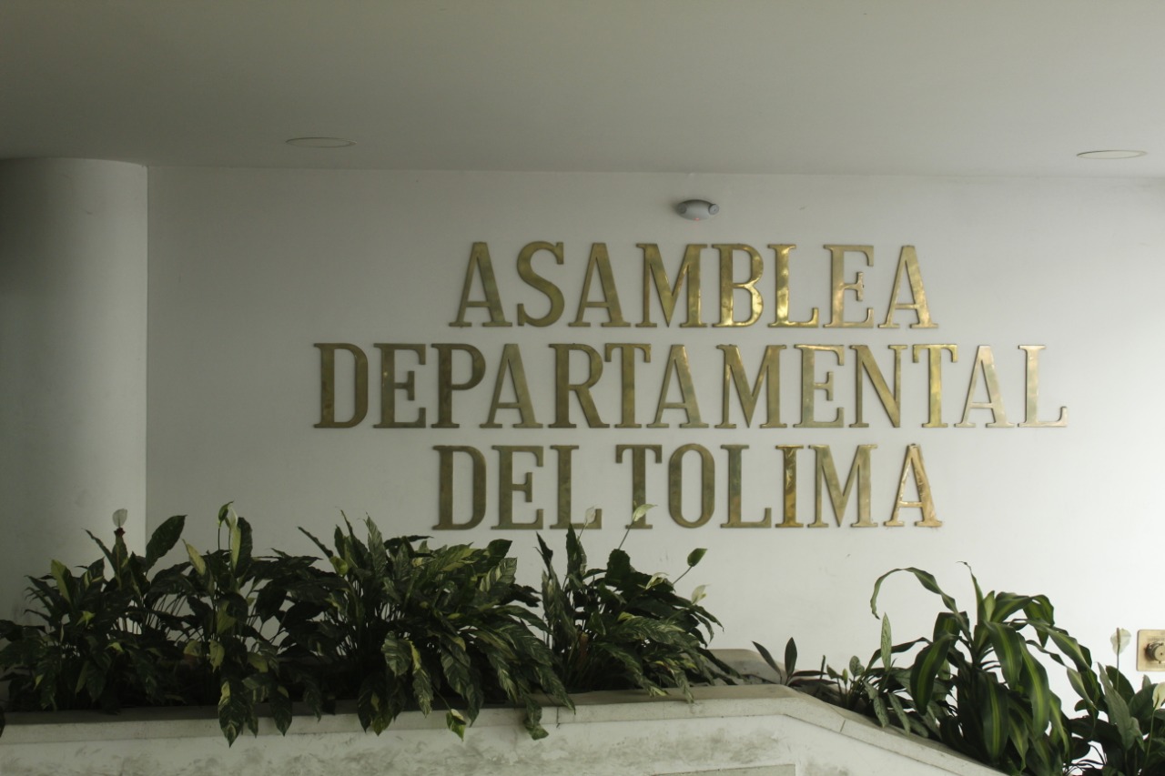 Asamblea del Tolima hace seguimiento a incendios forestales en Guamo y San Luis y expresa solidaridad con familias afectadas 3