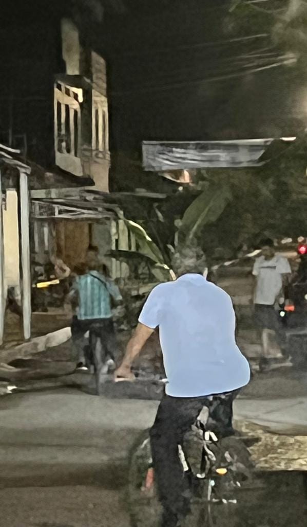 Con matas de plátano en las calles rotas amaneció el municipio de Lérida 3