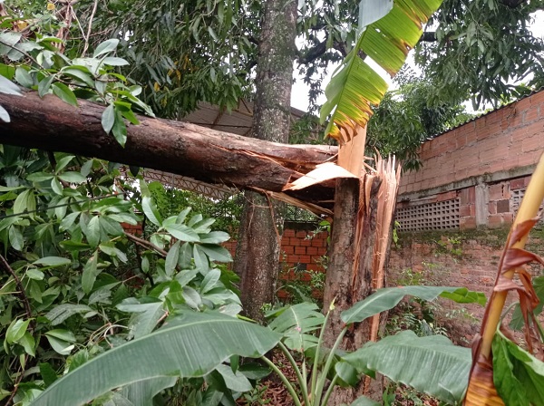 Fuertes lluvias golpean a Carmen de Apicalá, Tolima 4