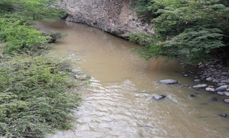 Cortolima investiga afectaciones en el rio Opia 3