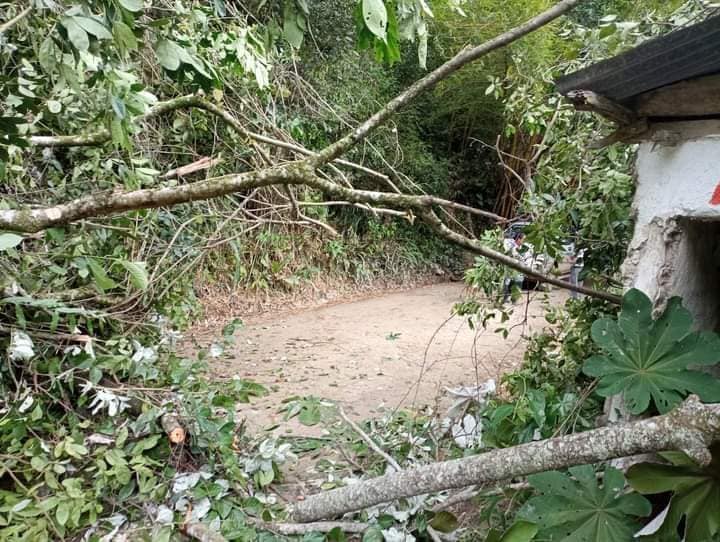 Ya ni caminos de herradura hay en el Tolima, por cuenta del invierno 28