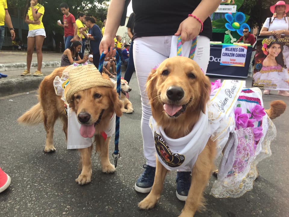 Así será el primer Festival Sampedrino de Mascotas 3