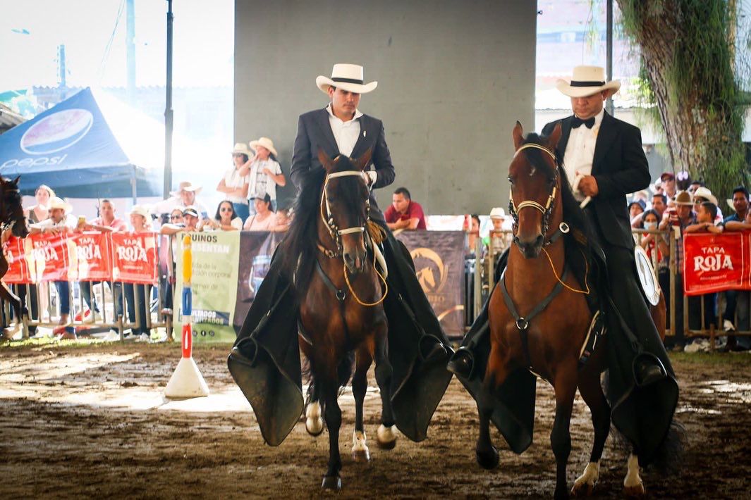 Concurso de arriería y concierto vallenato, el cierre de la Feria Bovina y Equina 3