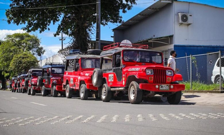 Cinco municipios del Tolima podrán prestar transporte escolar en camperos y camionetas 1
