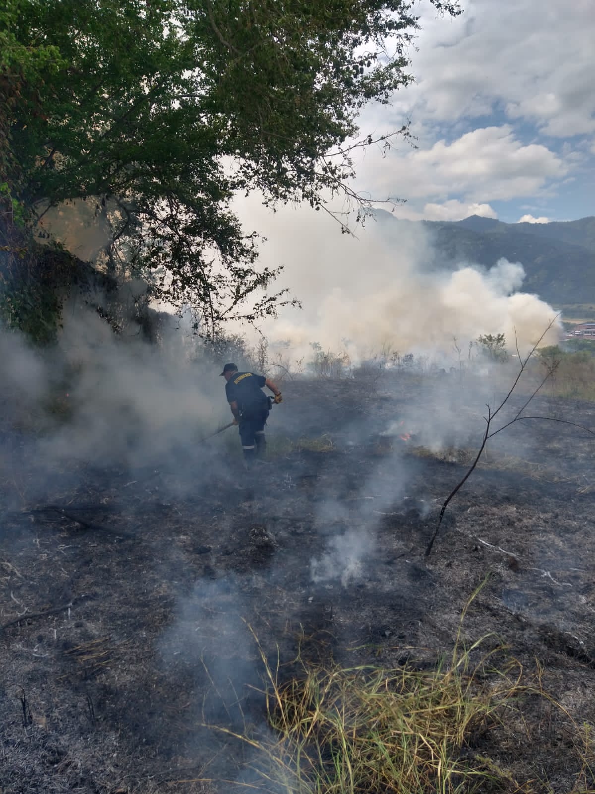 Cuatro incendios forestales en Ibagué 4