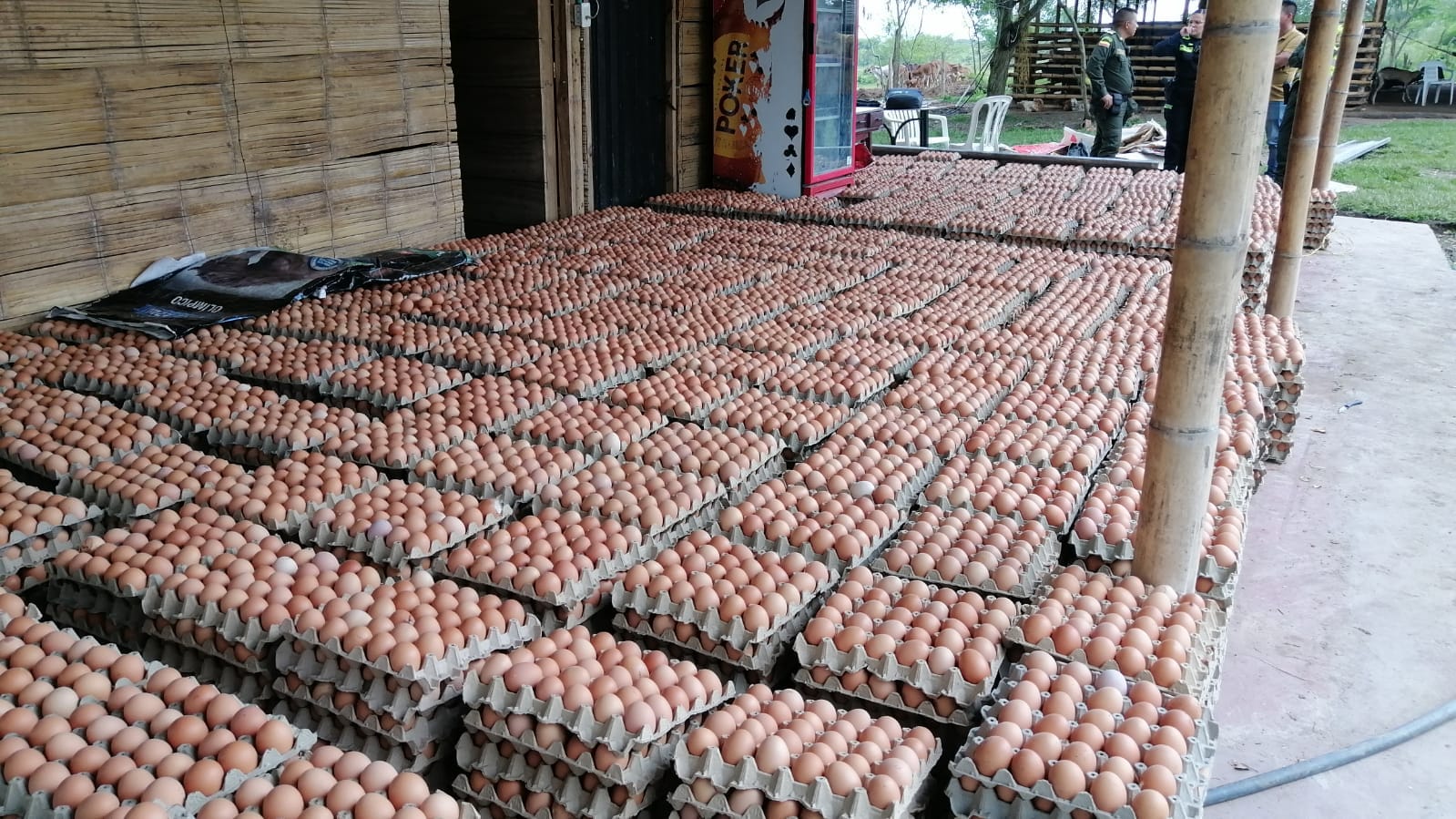 Cerca de la invasión Villa Resistencia encontraron las 10 toneladas de huevos robadas llegando a Ibagué 5
