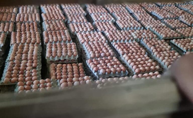 Cerca de la invasión Villa Resistencia encontraron las 10 toneladas de huevos robadas llegando a Ibagué 3