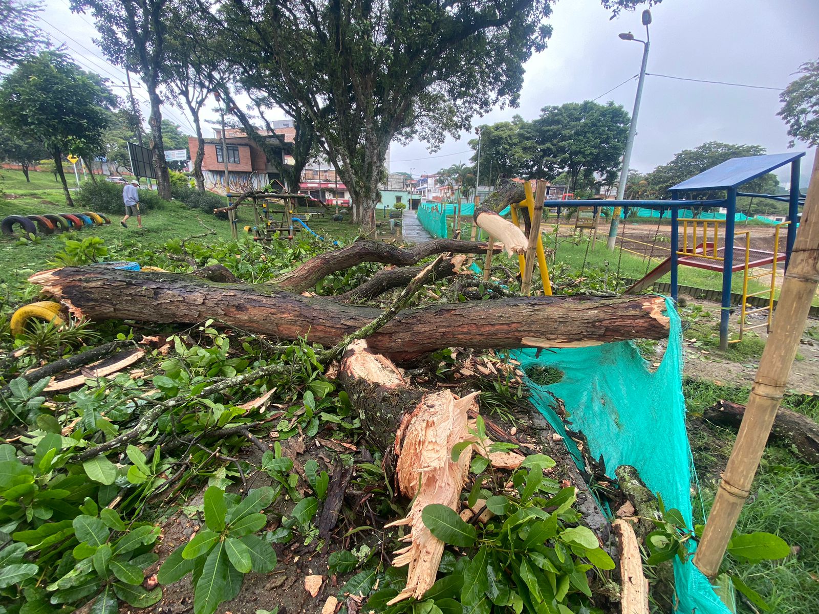 Gigantesco árbol destruyó parque infantil en el barrio Viveros de Ibagué 1