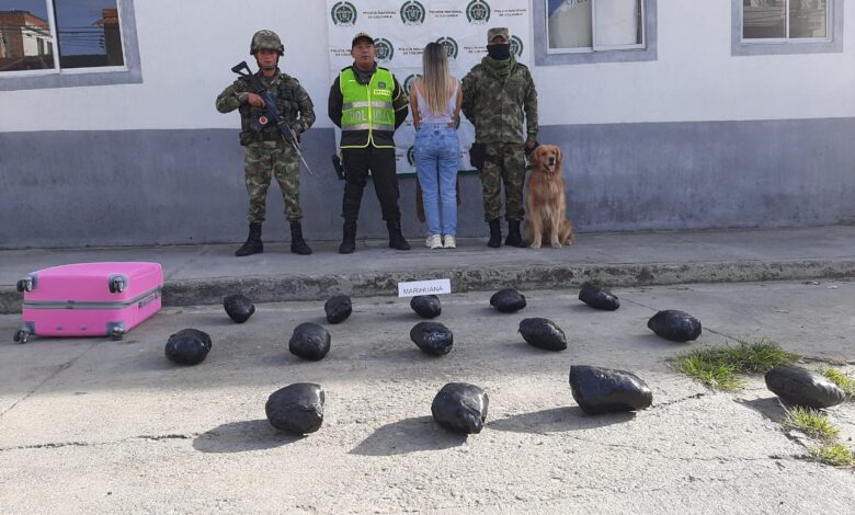 Siete kilos de marihuana fueron incautados por el Ejército Nacional en Cajamarca 1