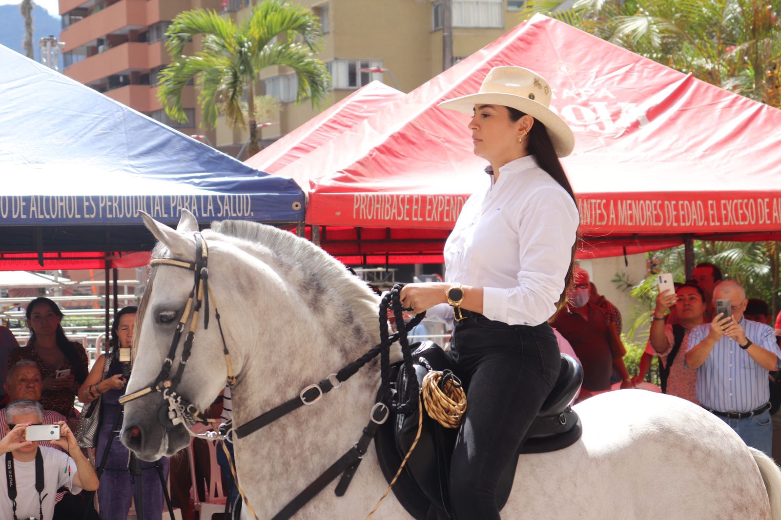 Más de 450 caballos de paso colombiano estarán en la 53 Feria Exposición Equina Grado A 2