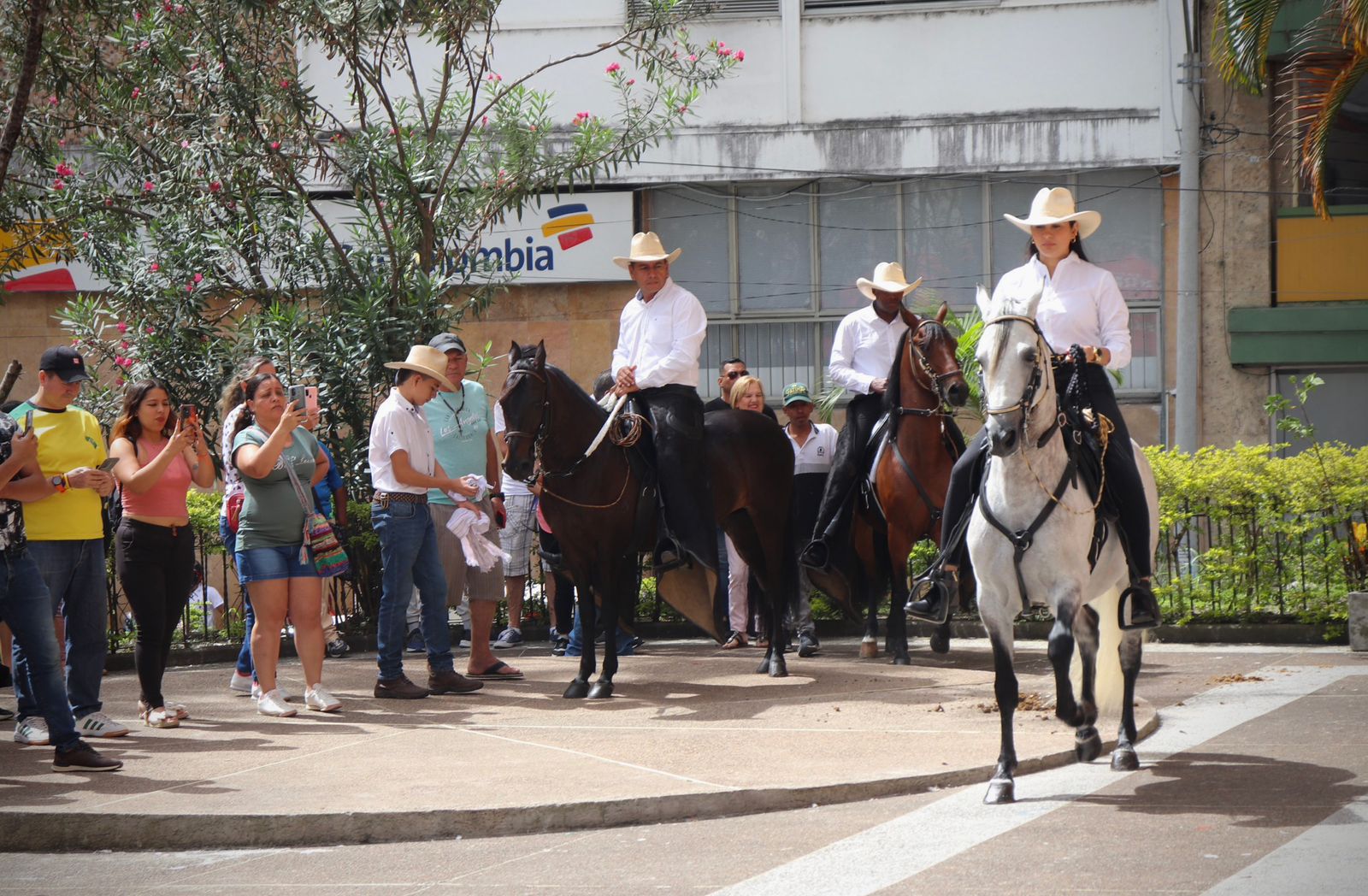 Más de 450 caballos de paso colombiano estarán en la 53 Feria Exposición Equina Grado A 1
